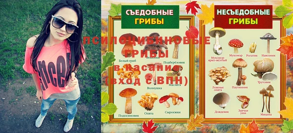 молекула духа Алексин