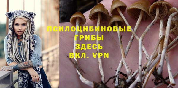 тгк Алзамай