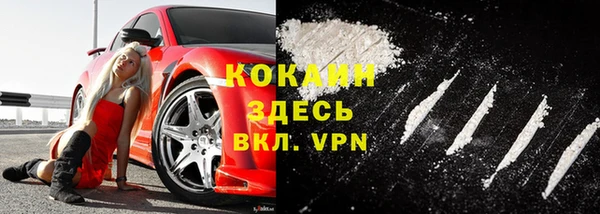 молекула духа Алексин