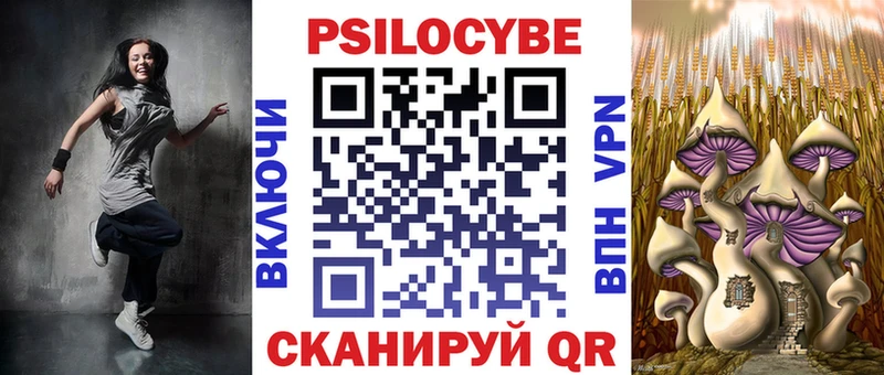Псилоцибиновые грибы Cubensis  Карачаевск 